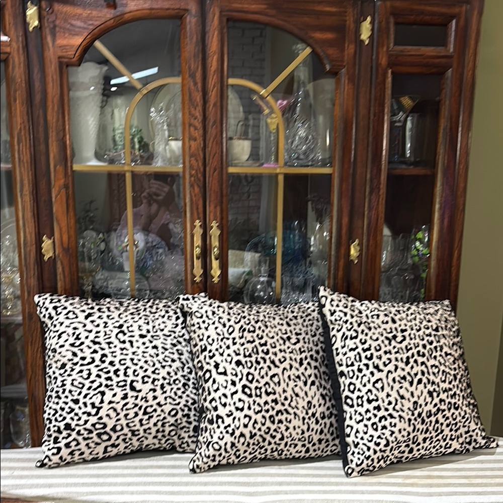 Leopard Print Accent Pillow Set (3)